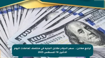 تراجع مفاجئ.. سعر الدولار مقابل الجنيه في منتصف تعاملات اليوم الإثنين 18 أغسطس 2025